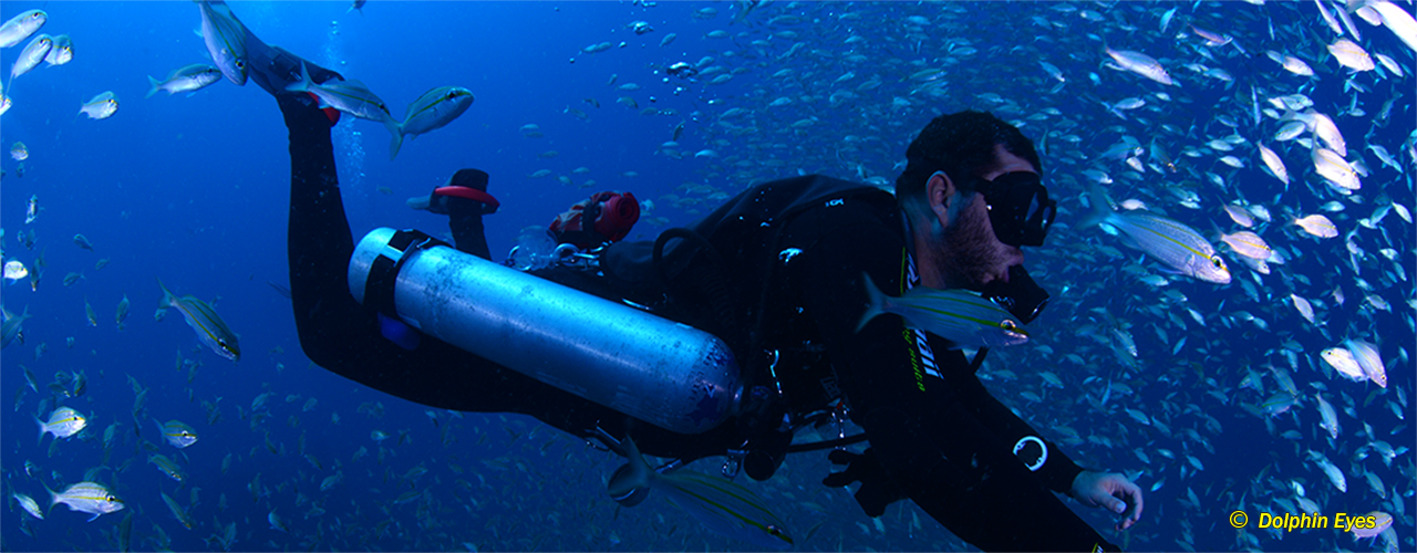 Sidemount